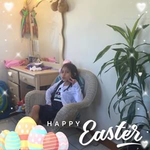 Meet your Posher, Elsa